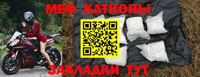 амф Гусев