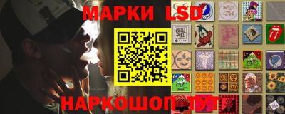 меф Гатчина
