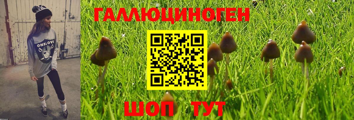 Галлюциногенные грибы Magic Shrooms  Вход с VPN  Калач-на-Дону 